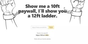 12 ft ladder