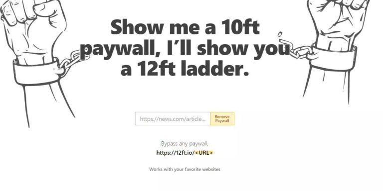 12 ft ladder