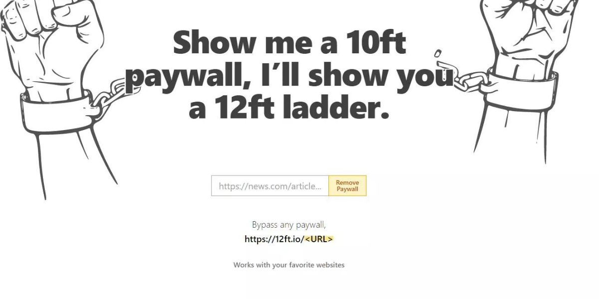 12 ft ladder